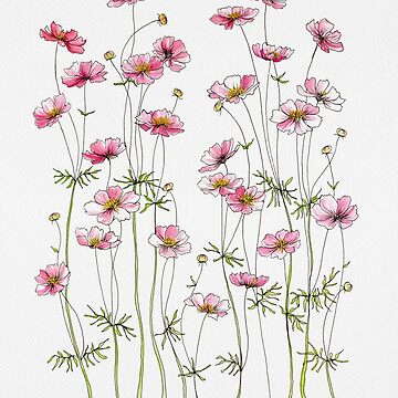 Artwork thumbnail, Pink Cosmos Flowers by JRoseDesign