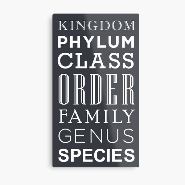 Taxonomy WordArt Metal Print