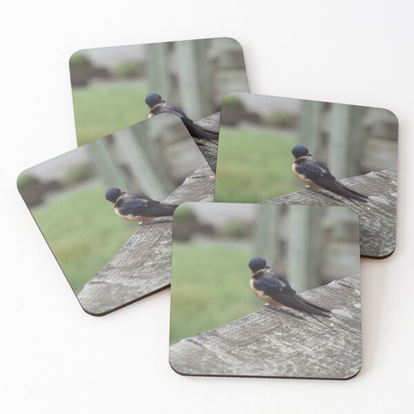 Item preview, Clean Your Wings designed and sold by fabledtales.