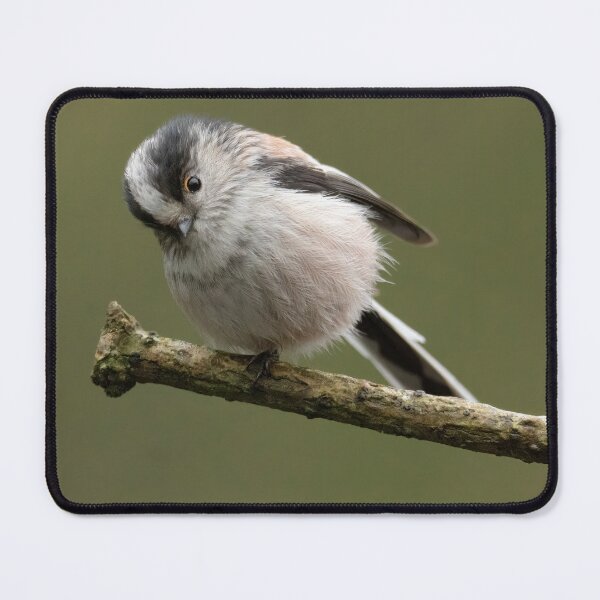 Item preview, Cheeky long tailed tit designed and sold by JLP ARTWORKS.