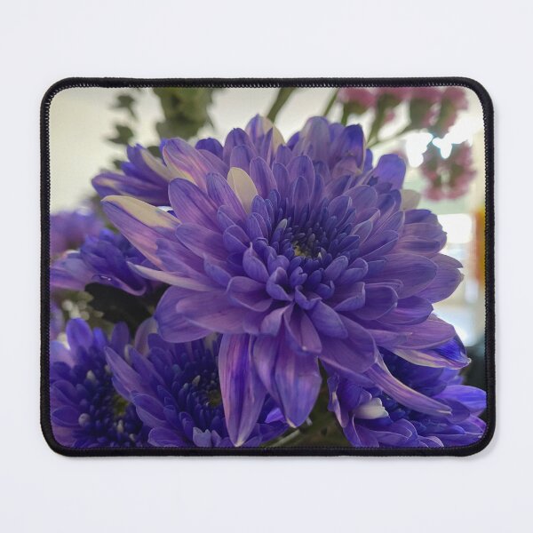 Item preview, Closeup of a Purple Chrysanthemum Flower designed and sold by Sinemathk.