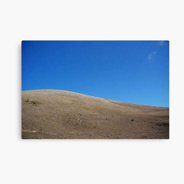 australian summer Canvas Print