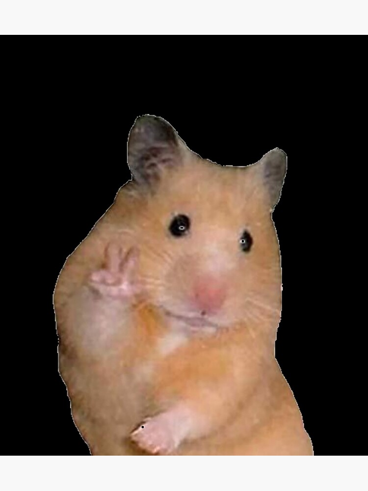 peace-sign-hamster-meme-photographic-print-by-aidallnnon-redbubble