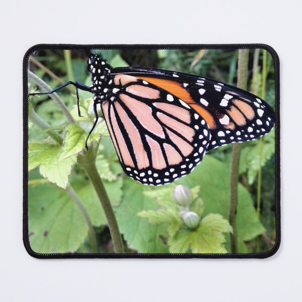 Item preview, Monarch butterfly designed and sold by Faerieglen.
