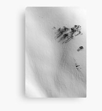Windswept snow and Snow Gums Canvas Print