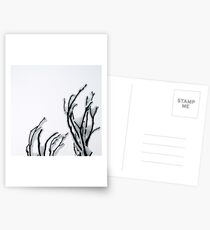 Rime Encrusted Burnt Snowgum Postcards
