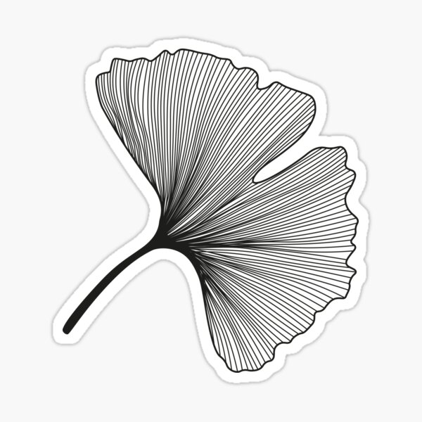 Ginkgo Biloba leaves pattern - black and white Sticker