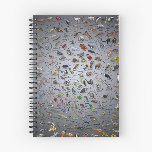 Artikelvorschau, Boom van leven Poster - Evolutie van dieren en planten - Nederlands met achtergrond entworfen und verkauft von EvolutionPoster.