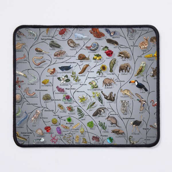 Item preview, Boom van leven Poster - Evolutie van dieren en planten - Nederlands met achtergrond designed and sold by EvolutionPoster.
