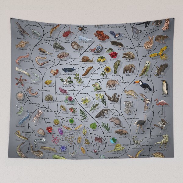 Item preview, Boom van leven Poster - Evolutie van dieren en planten - Nederlands met achtergrond designed and sold by EvolutionPoster.