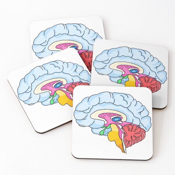 Item preview, Brain psychology sticker designed and sold by Katlligraphy.