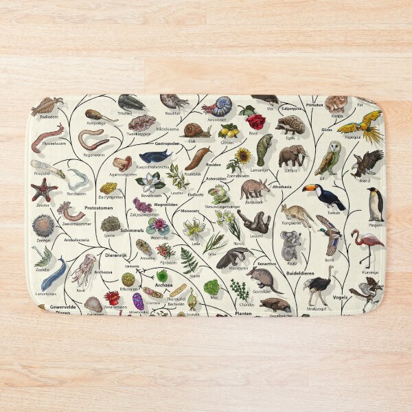 Item preview, Boom van leven Poster - Evolutie van dieren en planten - Nederlands designed and sold by EvolutionPoster.
