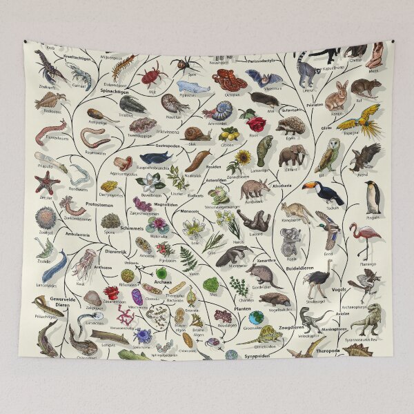 Item preview, Boom van leven Poster - Evolutie van dieren en planten - Nederlands designed and sold by EvolutionPoster.