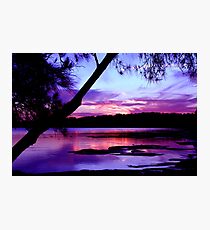 Sailors Delight Photographic Print