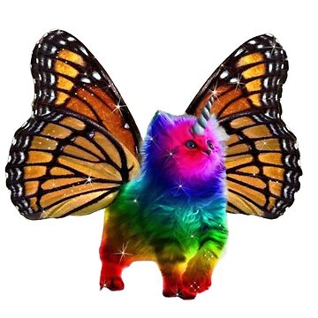 Rainbow kitten unicorn with butterfly wings hotsell