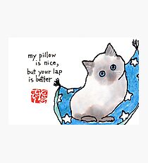 Lámina fotográfica Kitten on Pillow