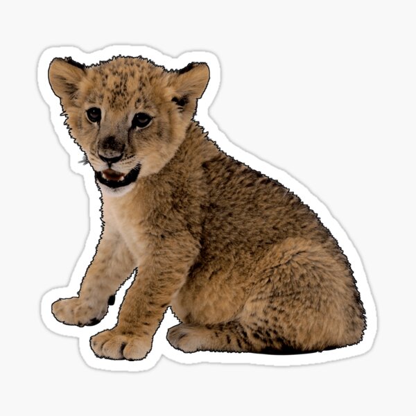 Lion Sticker