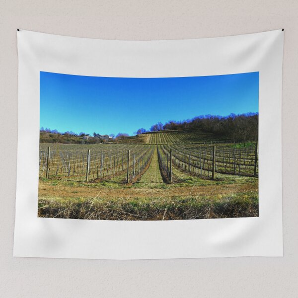 Item preview, Wineyards in winter designed and sold by annalisa56.