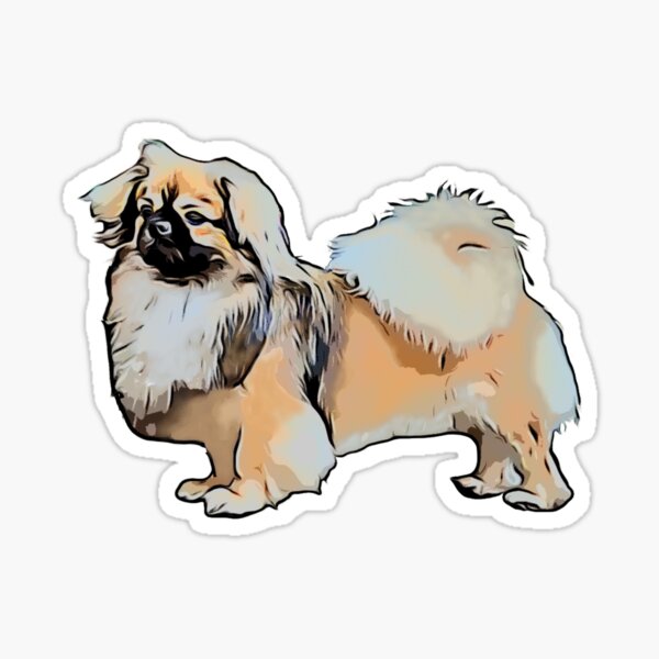 Tibetan spaniel outlet gifts