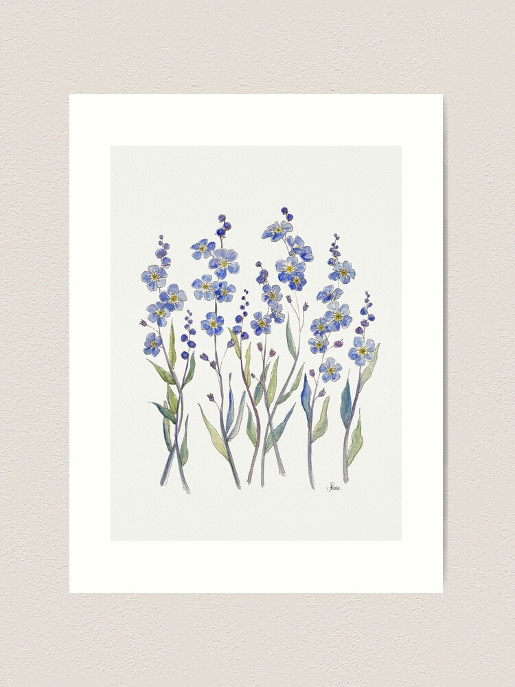 Forget Me Not Print, Boho orders Wall Art, Blue Flower Art, 20x20 Art