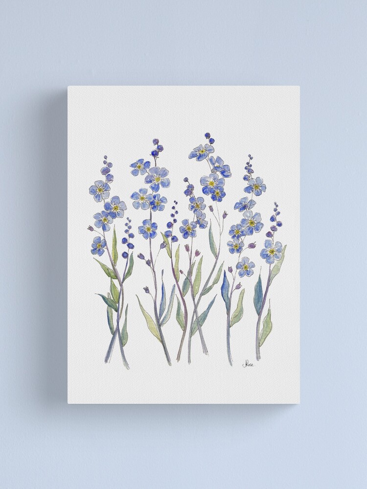 Alternate view of Blue Forget Me Not Blooms Canvas Print