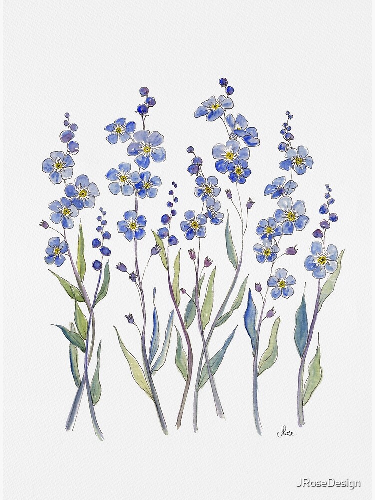 Blue Forget Me Not Blooms by JRoseDesign