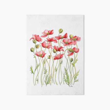 Red Poppies, Illustration Art Board Print