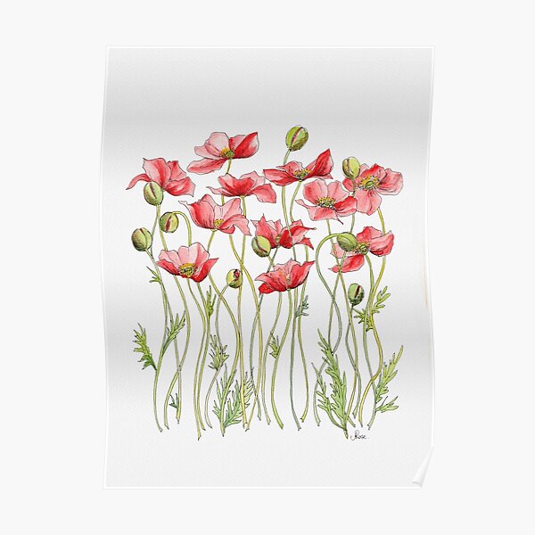 Red Poppies, Illustration Poster