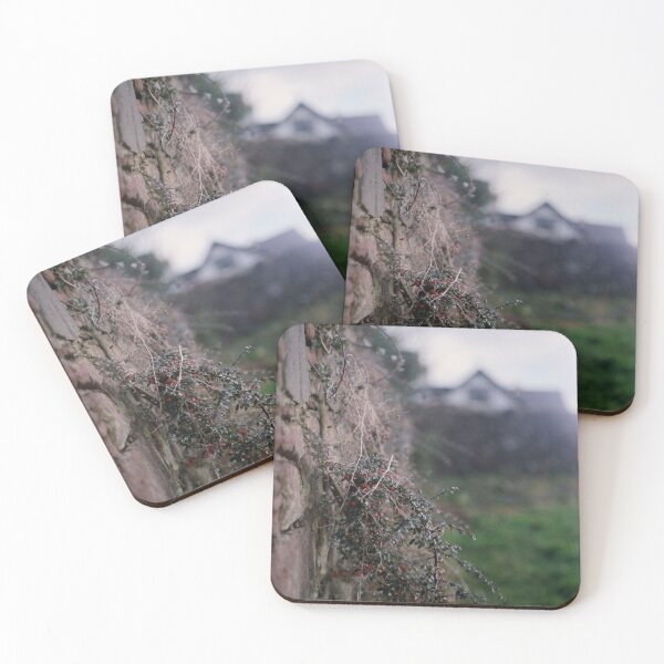 Item preview, shrub designed and sold by 5letters.