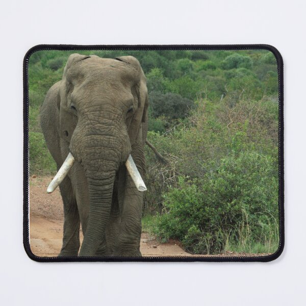 Item preview, Pilanesberg Game reserve # designed and sold by MarkBraham.