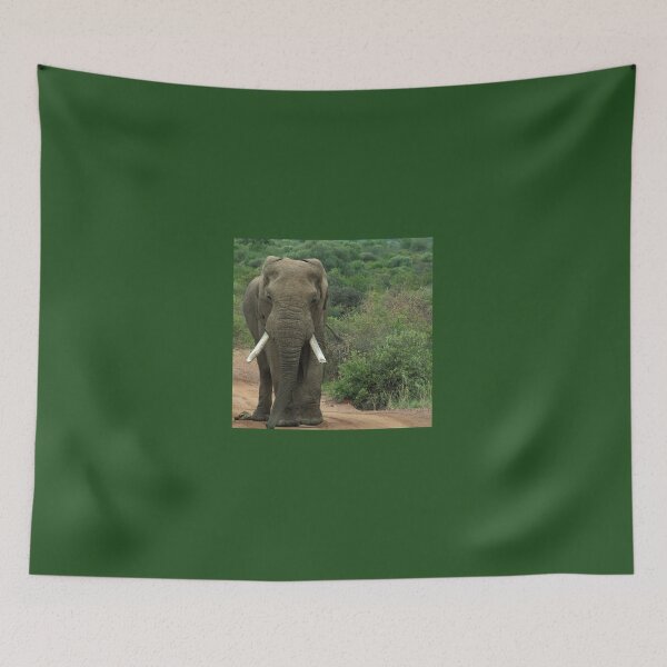 Artikelvorschau, Pilanesberg Game Reserve # entworfen und verkauft von MarkBraham.