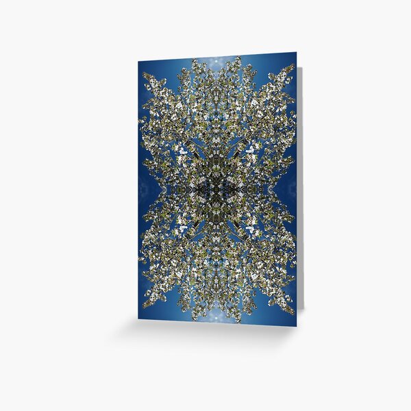 Blossom Burst #2 Greeting Card