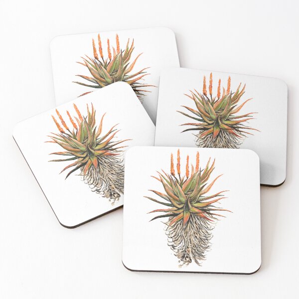 Item preview, Beautiful Watercolor Cape Aloe / Aloe Ferox designed and sold by CarolineJordaan.