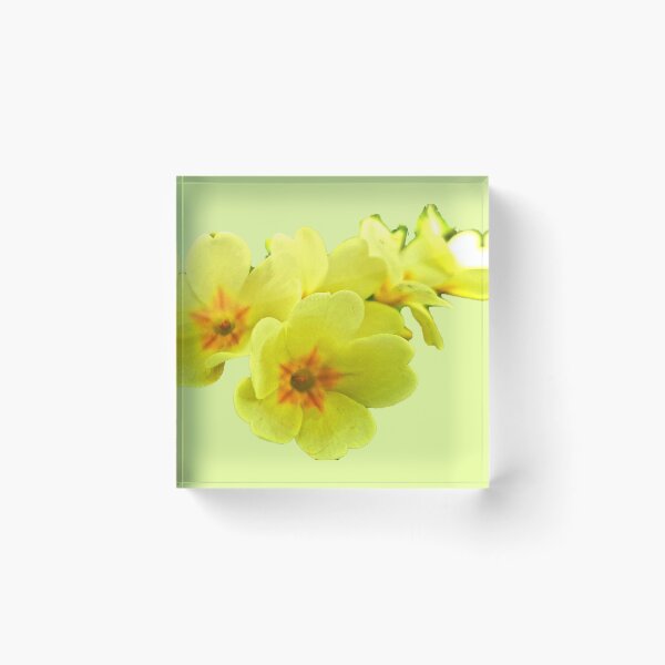 Item preview, Primrose flower designed and sold by LittleCountess.