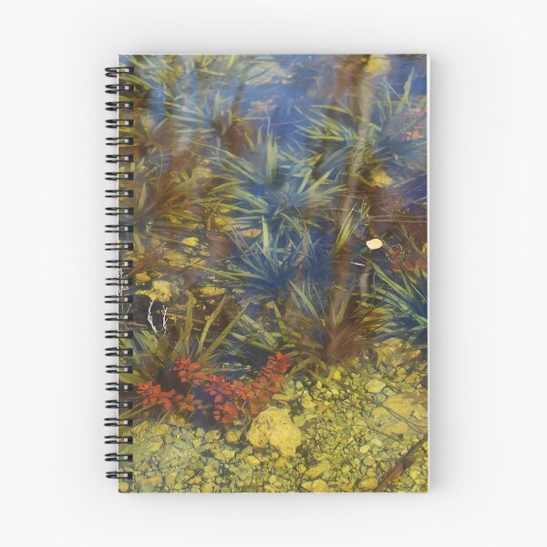 Item preview, Underwater paradise designed and sold by Dead-Moroz.