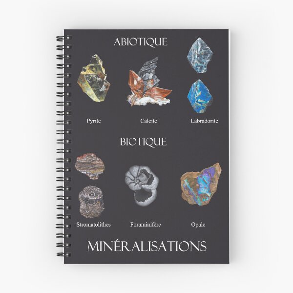 Item preview, Poster of various minerals designed and sold by ThalerSlama.