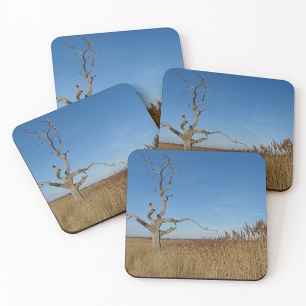 Item preview, Oak Tree and Reeds designed and sold by wiggyofipswich.