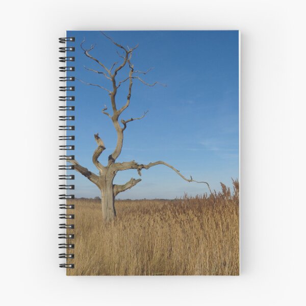 Item preview, Oak Tree and Reeds designed and sold by wiggyofipswich.