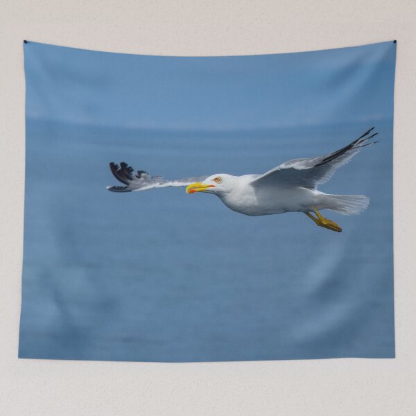 Item preview, Seagull in Greece Thassos and a beautiful sky designed and sold by D/Art ⭐⭐⭐⭐⭐.