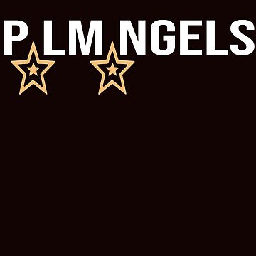 PLM Angel