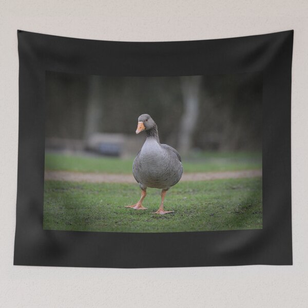 Item preview, Greylag Goose having a gander designed and sold by ClaireChown.