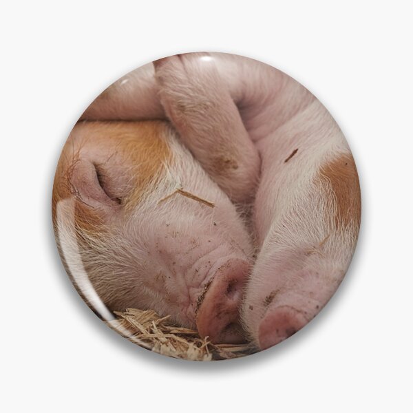 Item preview, Two cute sleeping pigs designed and sold by cabgodfrey.