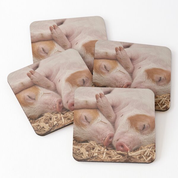 Item preview, Two cute sleeping pigs designed and sold by cabgodfrey.