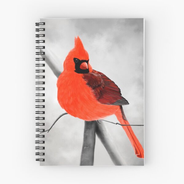 Item preview, Cardinal designed and sold by F3hlzar3id.