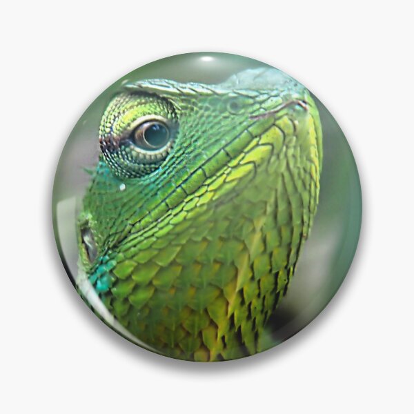 Item preview, Chameleon focusing designed and sold by Ettenhuber.