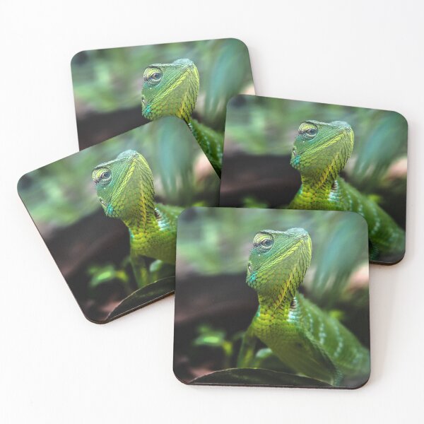 Item preview, Chameleon focusing designed and sold by Ettenhuber.