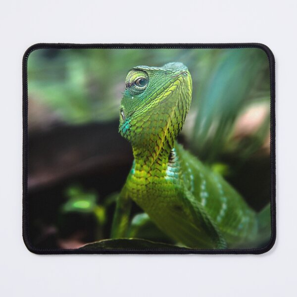 Item preview, Chameleon focusing designed and sold by Ettenhuber.