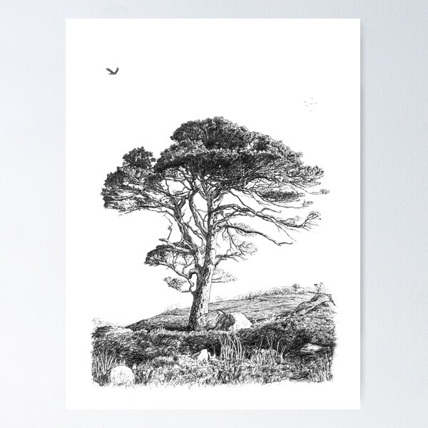 Item preview, Scots pine designed and sold by keshara.