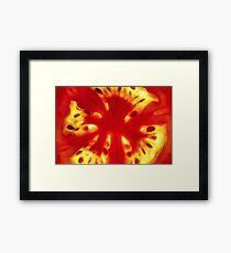 Tomato Framed Print