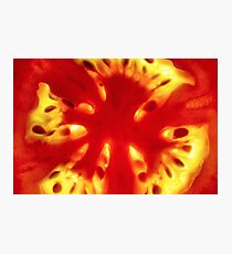 Tomato Photographic Print